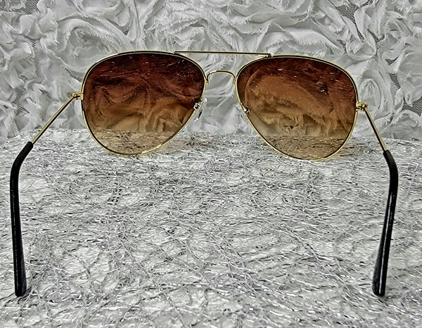 BROWN CycleRider! Aviator Top Bar Sunglasses